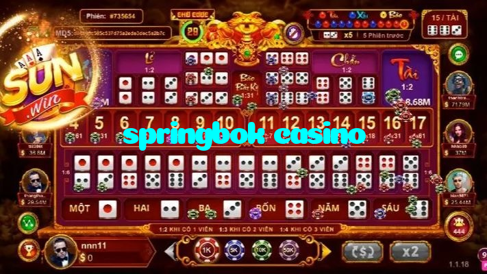 making first deposit on springbok casino website using local payment methods in Pakistan