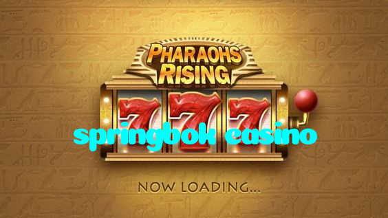 springbok casino